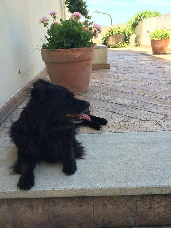 Le Terrazze Di Cristina Panzió Vietri Kültér fotó